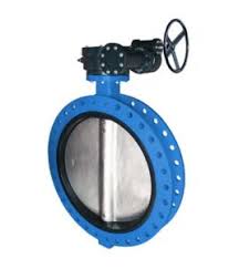 شیر پروانه‌ ای اینسترومیت